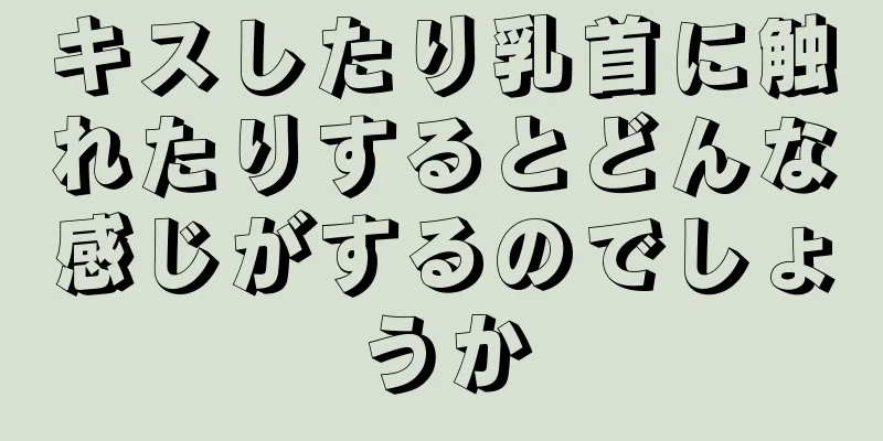 キスしたり乳首に触れたりするとどんな感じがするのでしょうか