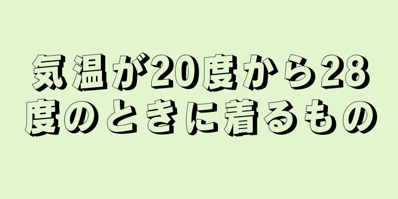 気温が20度から28度のときに着るもの