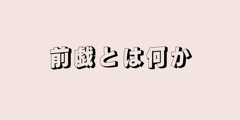 前戯とは何か