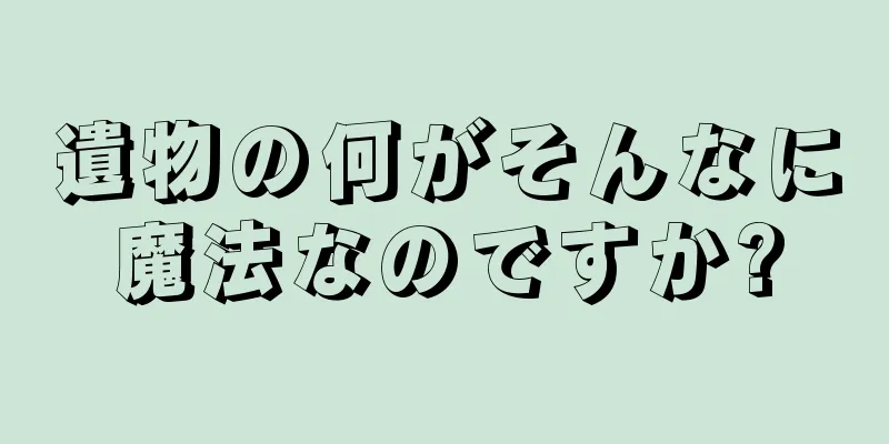 遺物の何がそんなに魔法なのですか?