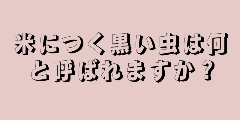 米につく黒い虫は何と呼ばれますか？