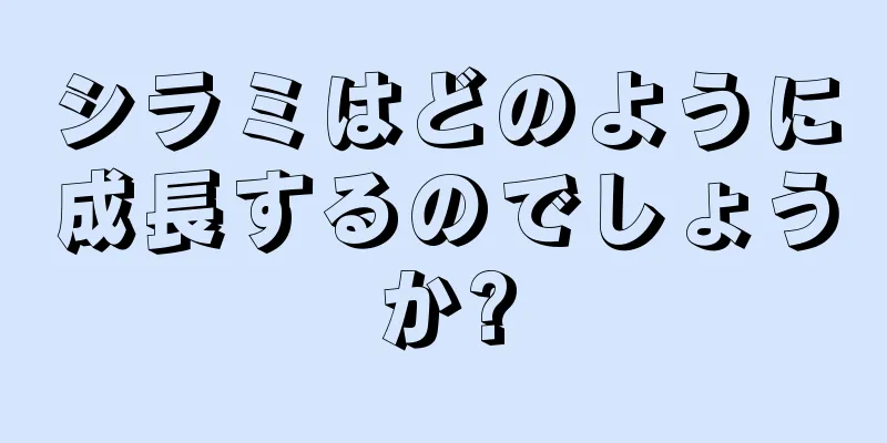 シラミはどのように成長するのでしょうか?