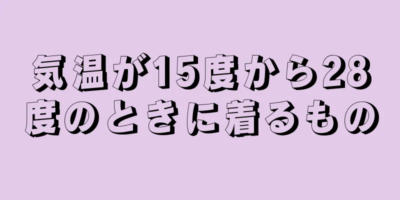 気温が15度から28度のときに着るもの