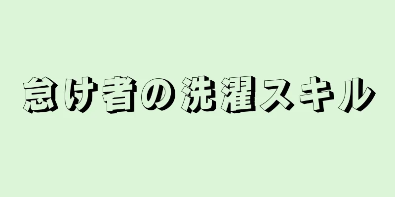 怠け者の洗濯スキル