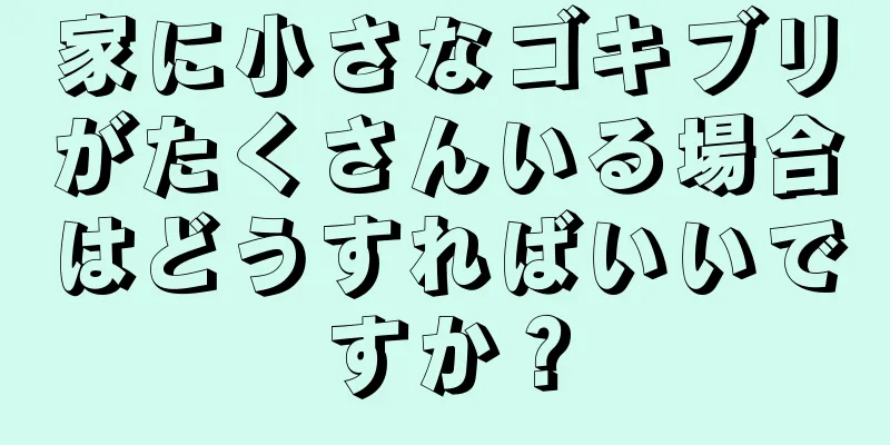 家に小さなゴキブリがたくさんいる場合はどうすればいいですか？