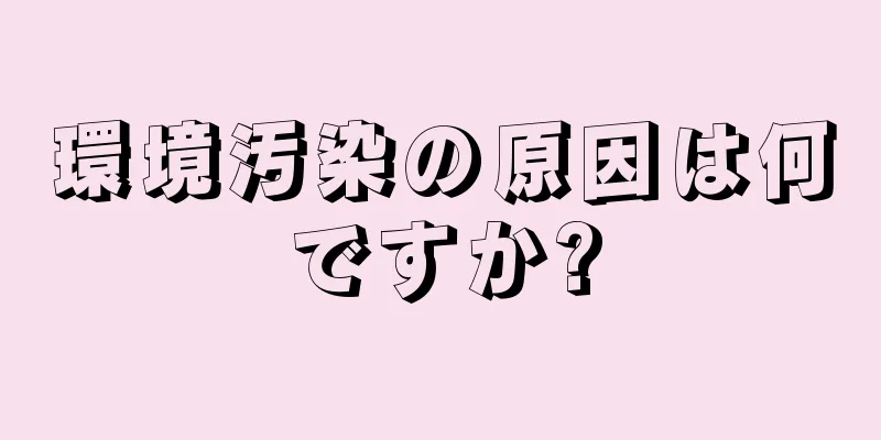 環境汚染の原因は何ですか?