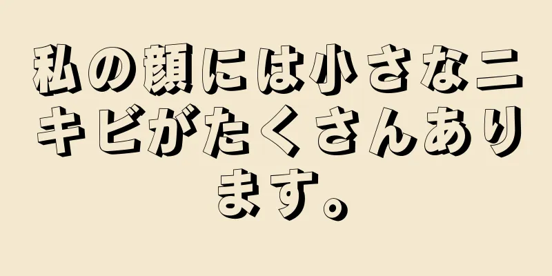 私の顔には小さなニキビがたくさんあります。