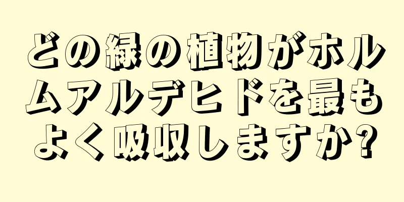 どの緑の植物がホルムアルデヒドを最もよく吸収しますか?