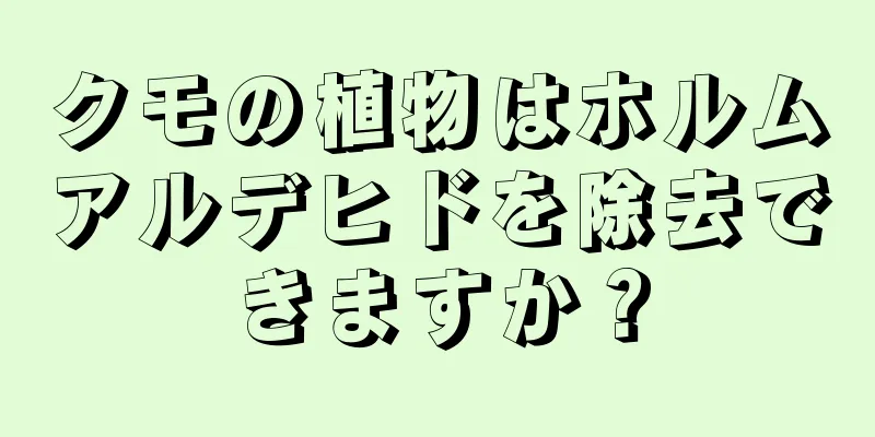 クモの植物はホルムアルデヒドを除去できますか？