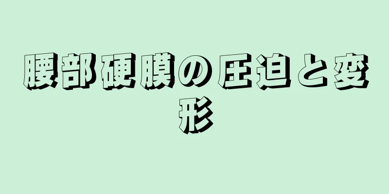 腰部硬膜の圧迫と変形