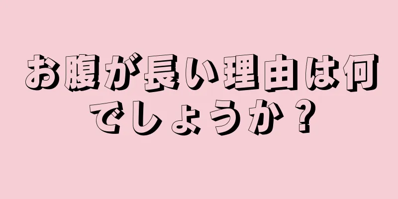 お腹が長い理由は何でしょうか？