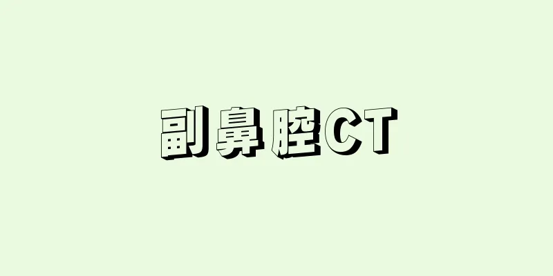 副鼻腔CT