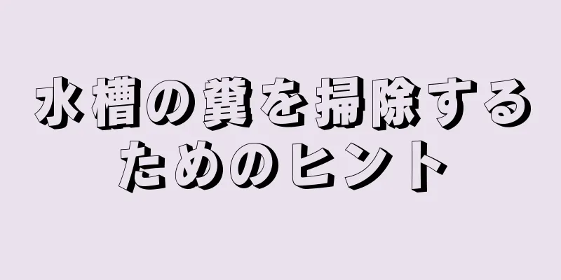 水槽の糞を掃除するためのヒント