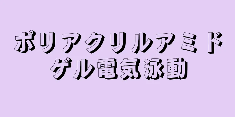 ポリアクリルアミドゲル電気泳動