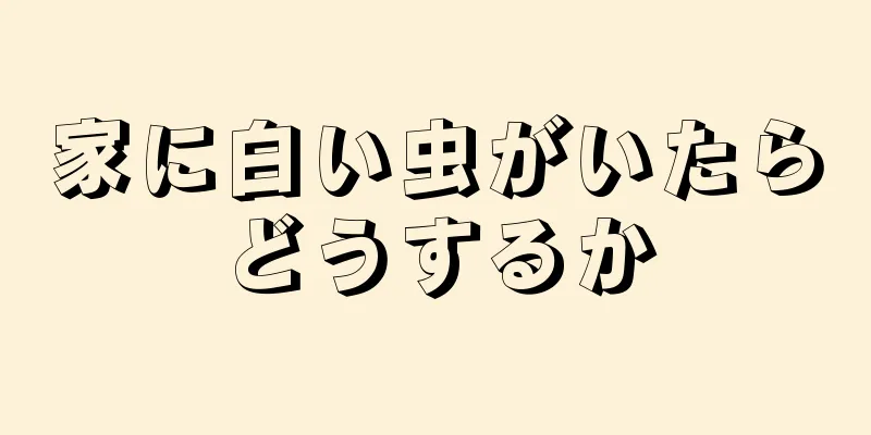 家に白い虫がいたらどうするか