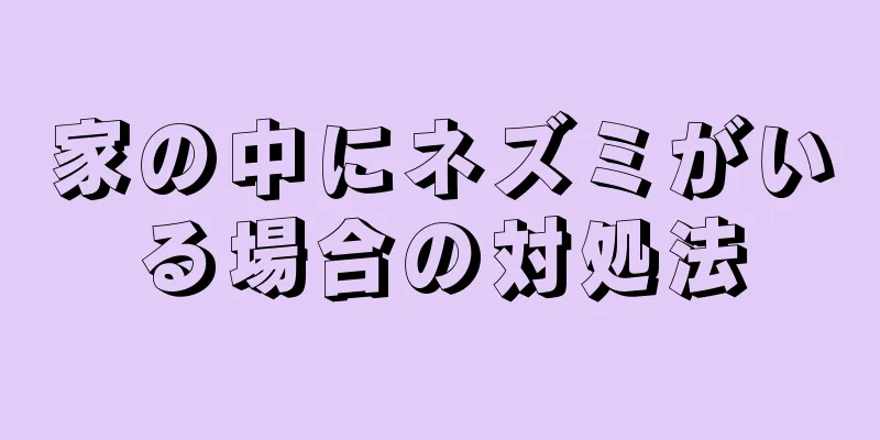 家の中にネズミがいる場合の対処法