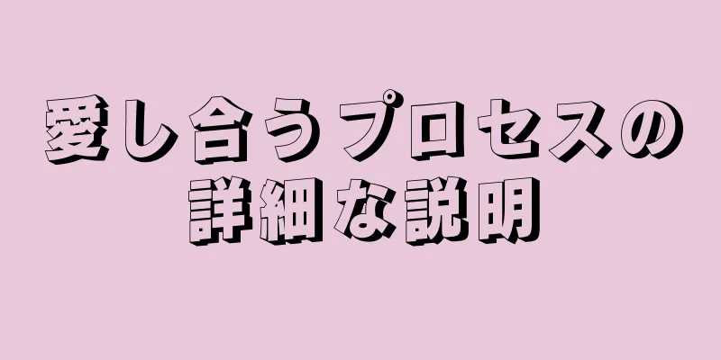 愛し合うプロセスの詳細な説明