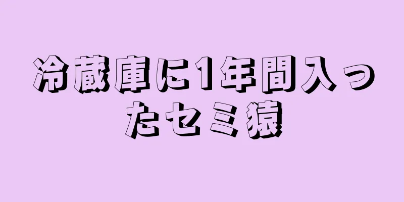 冷蔵庫に1年間入ったセミ猿