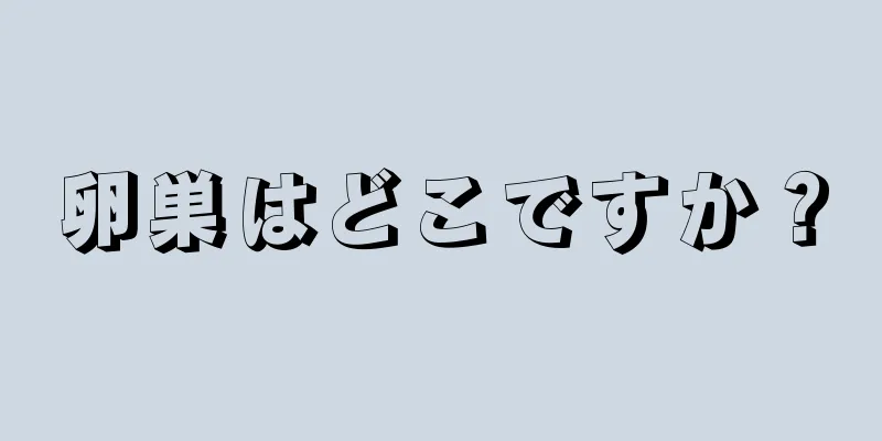 卵巣はどこですか？