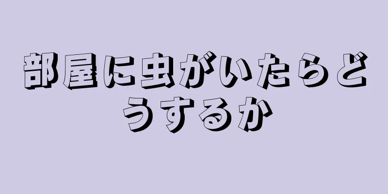 部屋に虫がいたらどうするか