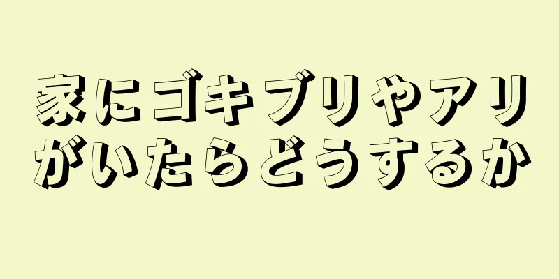 家にゴキブリやアリがいたらどうするか