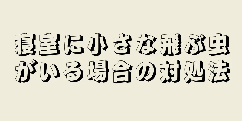 寝室に小さな飛ぶ虫がいる場合の対処法