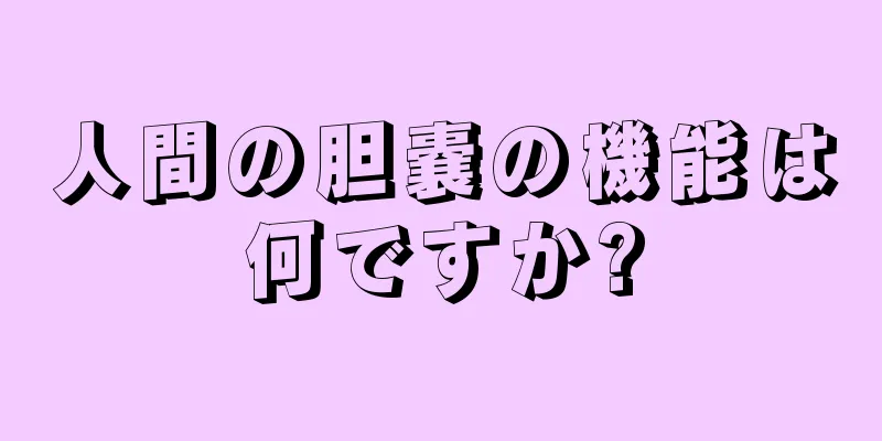 人間の胆嚢の機能は何ですか?