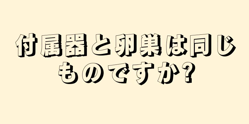 付属器と卵巣は同じものですか?