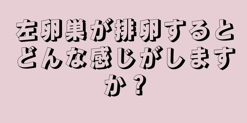 左卵巣が排卵するとどんな感じがしますか？