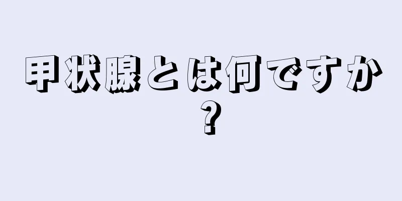 甲状腺とは何ですか？