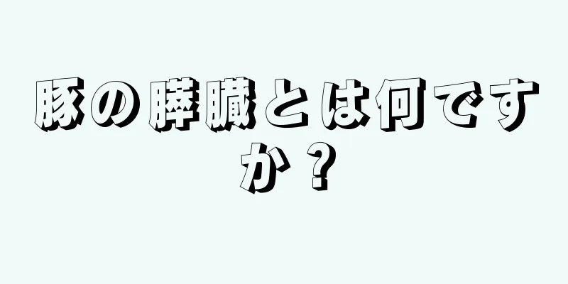 豚の膵臓とは何ですか？