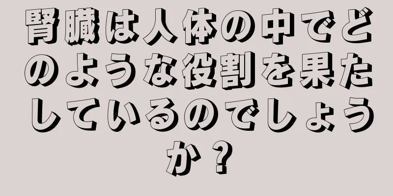 腎臓は人体の中でどのような役割を果たしているのでしょうか？