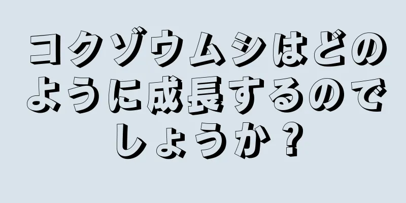 コクゾウムシはどのように成長するのでしょうか？