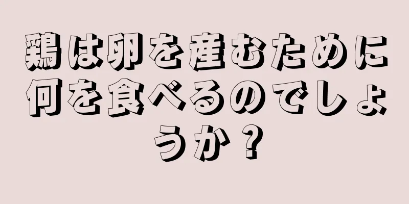 鶏は卵を産むために何を食べるのでしょうか？