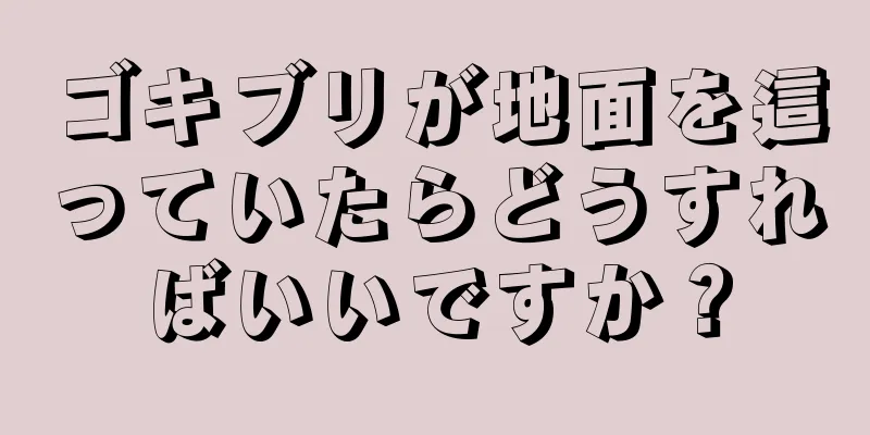 ゴキブリが地面を這っていたらどうすればいいですか？