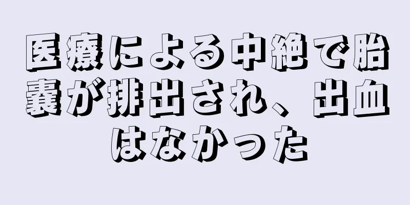 医療による中絶で胎嚢が排出され、出血はなかった