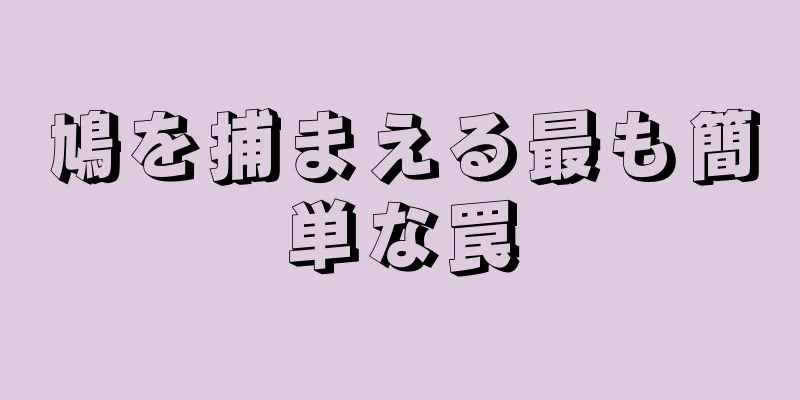 鳩を捕まえる最も簡単な罠