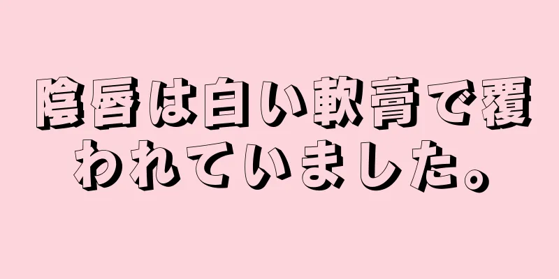 陰唇は白い軟膏で覆われていました。