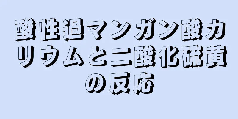 酸性過マンガン酸カリウムと二酸化硫黄の反応