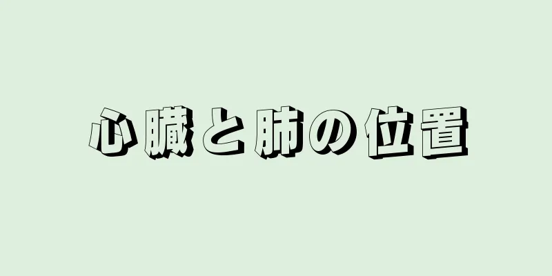 心臓と肺の位置