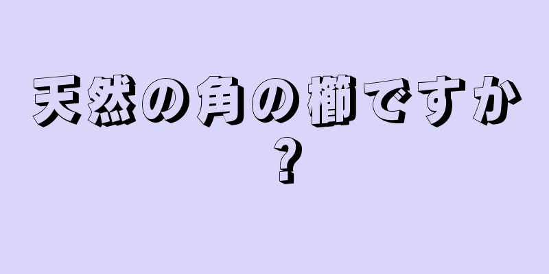 天然の角の櫛ですか？