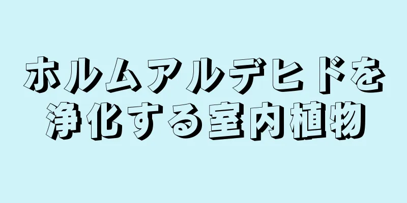 ホルムアルデヒドを浄化する室内植物