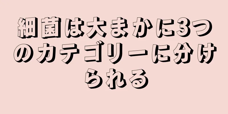 細菌は大まかに3つのカテゴリーに分けられる