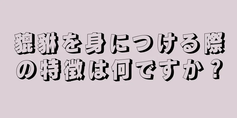 貔貅を身につける際の特徴は何ですか？