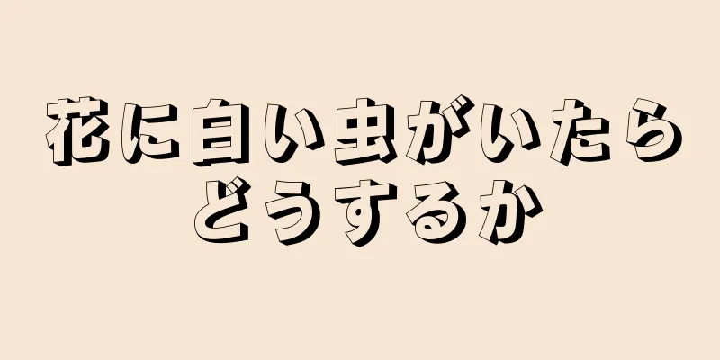 花に白い虫がいたらどうするか