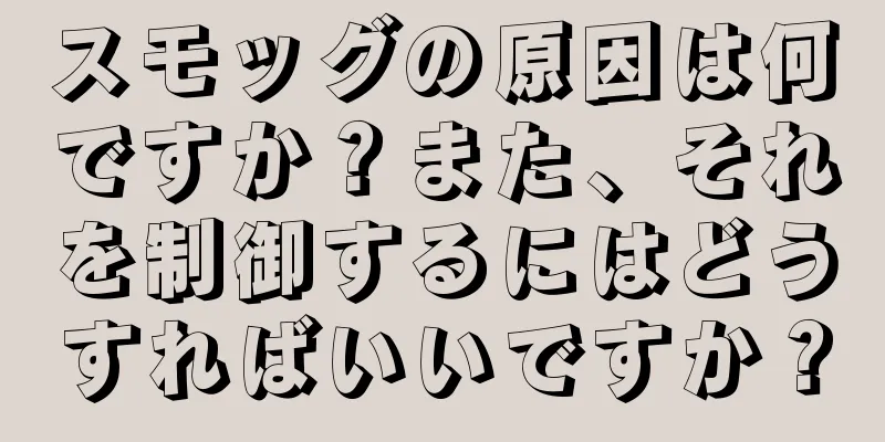 スモッグの原因は何ですか？また、それを制御するにはどうすればいいですか？