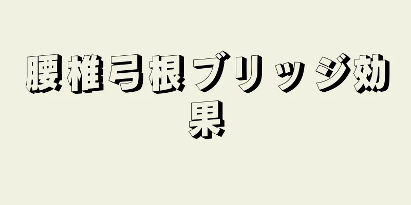 腰椎弓根ブリッジ効果