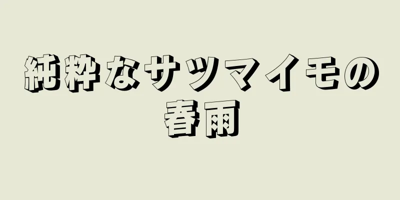 純粋なサツマイモの春雨