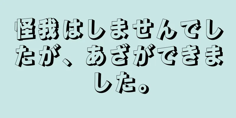 怪我はしませんでしたが、あざができました。