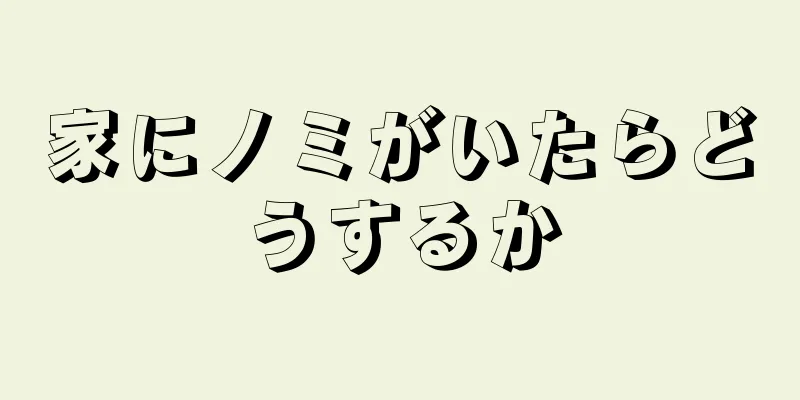 家にノミがいたらどうするか